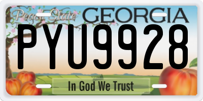 GA license plate PYU9928
