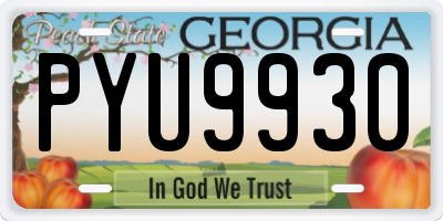 GA license plate PYU9930