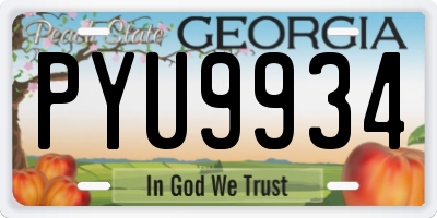 GA license plate PYU9934