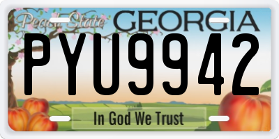 GA license plate PYU9942