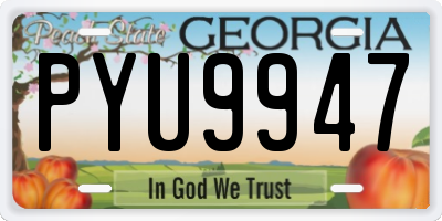 GA license plate PYU9947