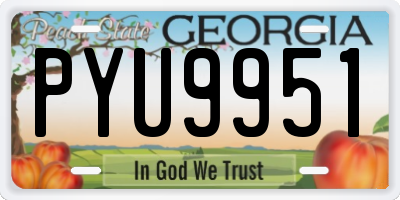 GA license plate PYU9951