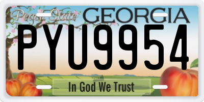 GA license plate PYU9954