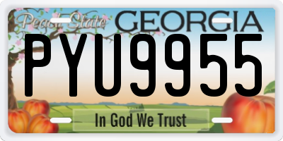 GA license plate PYU9955
