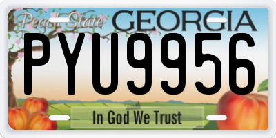 GA license plate PYU9956