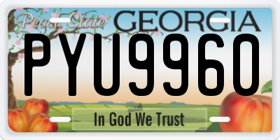 GA license plate PYU9960