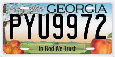 GA license plate PYU9972