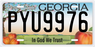 GA license plate PYU9976