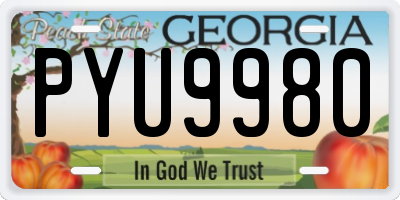 GA license plate PYU9980