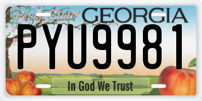 GA license plate PYU9981