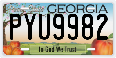 GA license plate PYU9982
