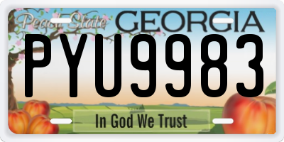 GA license plate PYU9983