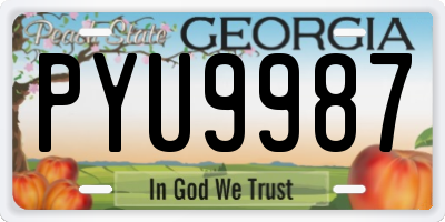 GA license plate PYU9987