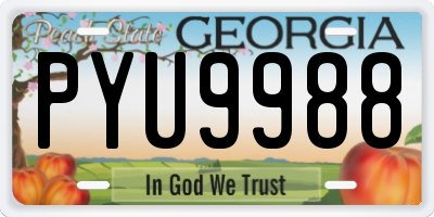 GA license plate PYU9988