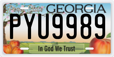 GA license plate PYU9989