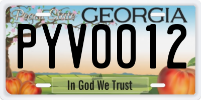 GA license plate PYV0012