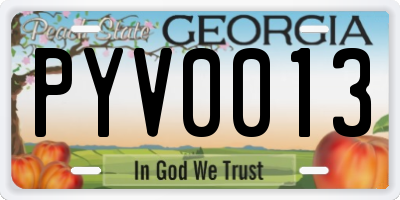 GA license plate PYV0013