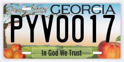 GA license plate PYV0017
