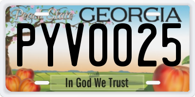 GA license plate PYV0025