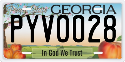 GA license plate PYV0028