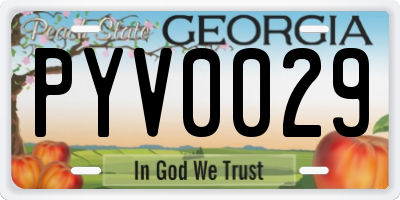 GA license plate PYV0029