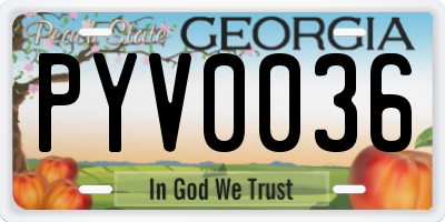 GA license plate PYV0036