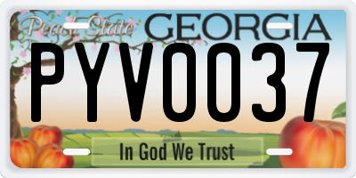 GA license plate PYV0037