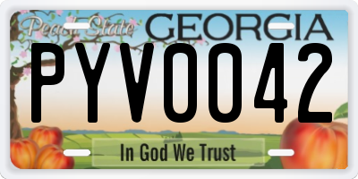 GA license plate PYV0042