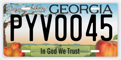 GA license plate PYV0045