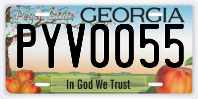 GA license plate PYV0055