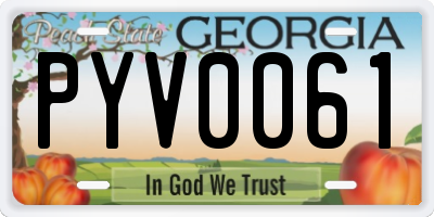 GA license plate PYV0061
