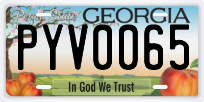 GA license plate PYV0065