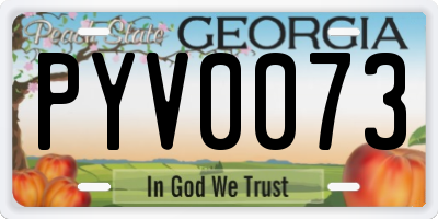 GA license plate PYV0073