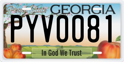 GA license plate PYV0081