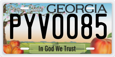 GA license plate PYV0085
