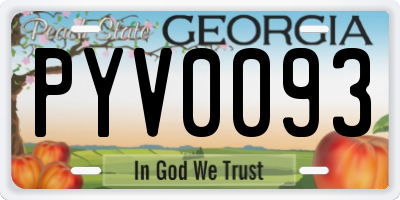 GA license plate PYV0093
