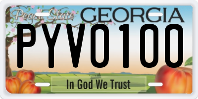 GA license plate PYV0100