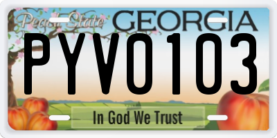 GA license plate PYV0103