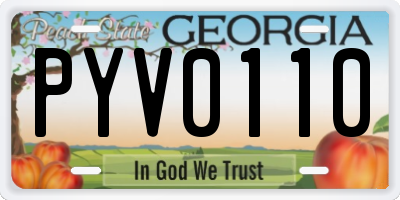 GA license plate PYV0110