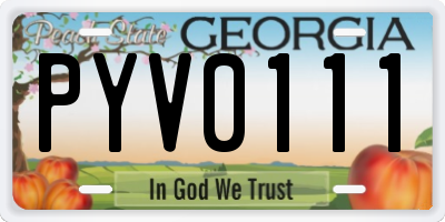 GA license plate PYV0111