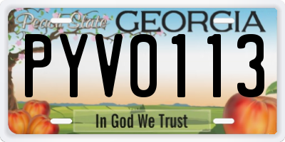 GA license plate PYV0113