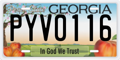 GA license plate PYV0116