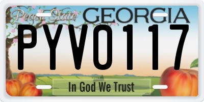 GA license plate PYV0117