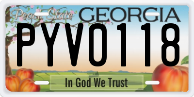 GA license plate PYV0118
