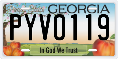 GA license plate PYV0119