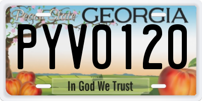 GA license plate PYV0120