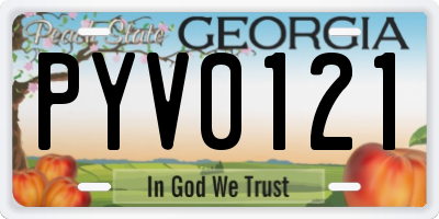 GA license plate PYV0121