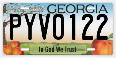 GA license plate PYV0122