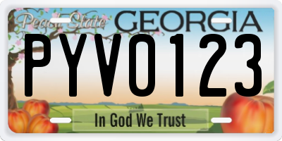 GA license plate PYV0123