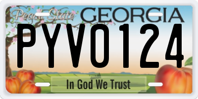 GA license plate PYV0124